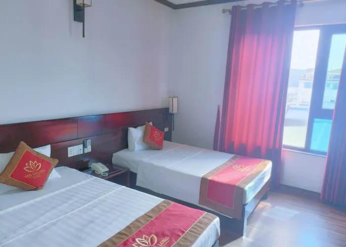 Sen 3* Hạ Long